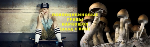apvp Абинск