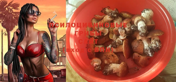 apvp Абинск