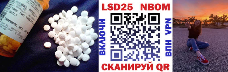 LSD-25 экстази кислота  наркотики  Терек 